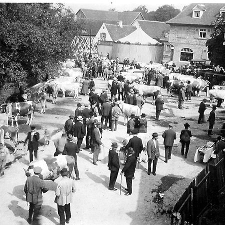 Ox Hotel Heitersheim Bagian luar foto
